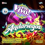  Popurri de Boleros: Perdida / No Me Quieras Tanto / Contigo / Flor de Azalea / Sin Ti (En Vivo)