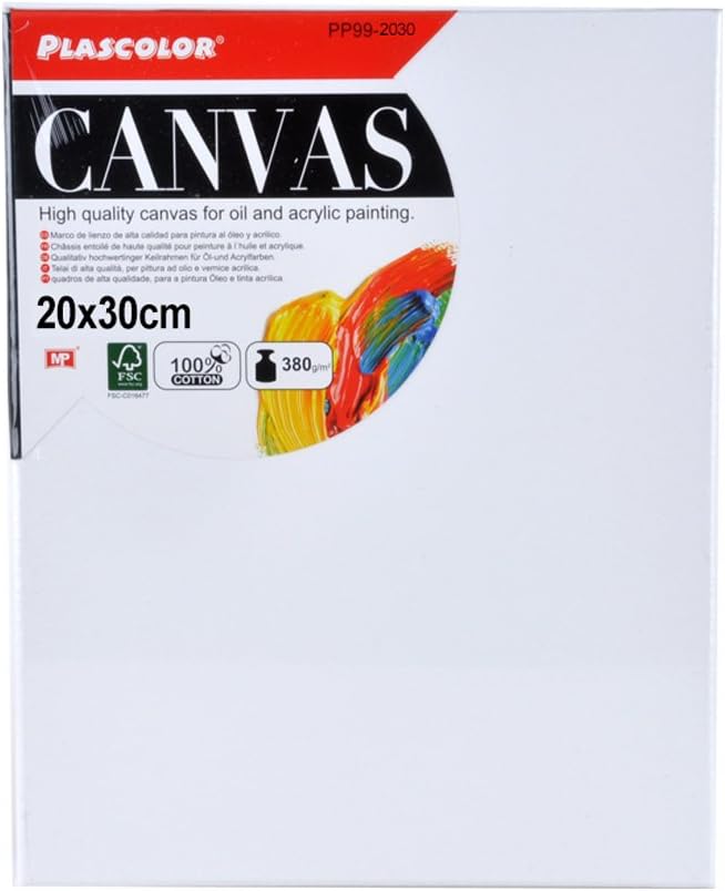 plascolor PP99 – 2030 – Canvas and Wood Frame, 20 x 30 x 3.5 cm, 380 g/m2