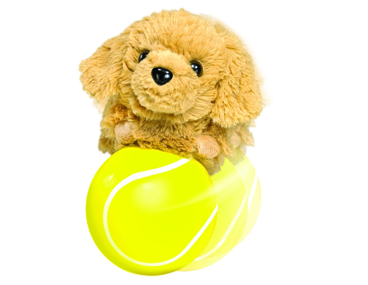 The Happys Chase and Play Tennis Ball