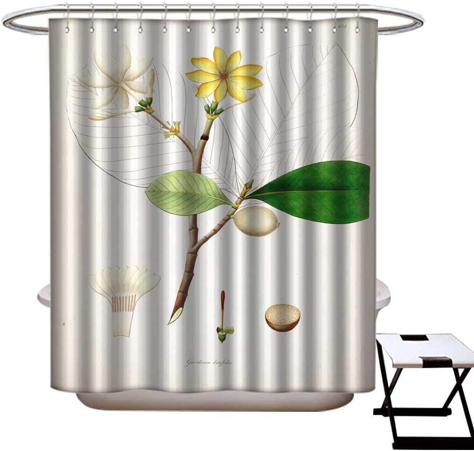 warmfamily Shower Curtain Art Print Polyester Botanical illustration111111111111111113 Shower CurtainW69 x L75