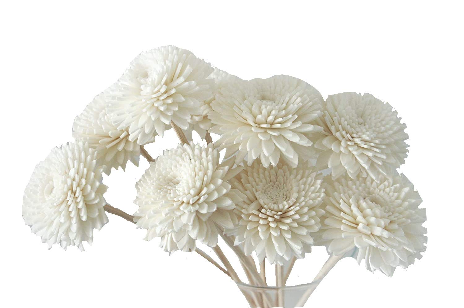 10 Gerbera Design Sola Flower for Aroma Diffuser Home Fragrance by Plawanature