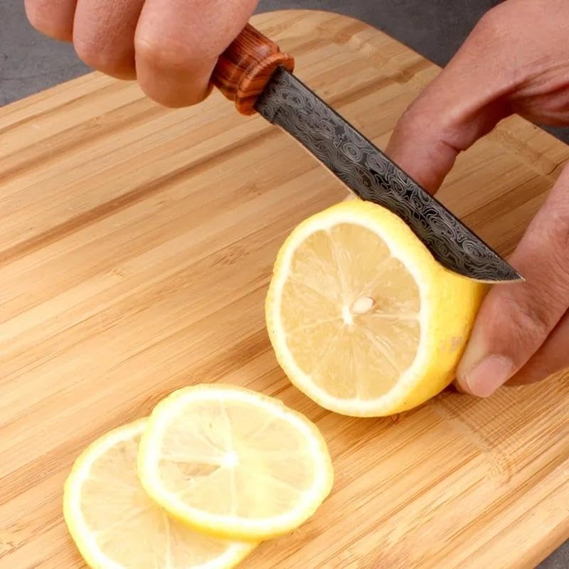 Image of Wizbiz Slim Utility Knife for Kitchen Use | Damascus Blade with Handle | Compact EDC Utility Knife for Precision Cutting, Crafting, and Gift Use