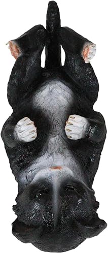 Miniatura 5 de Ebros Gift Soporte para botella de vino con esmoquin en blanco y negro felino, estatuas de animales o estatuas de gatitos, como regalo de