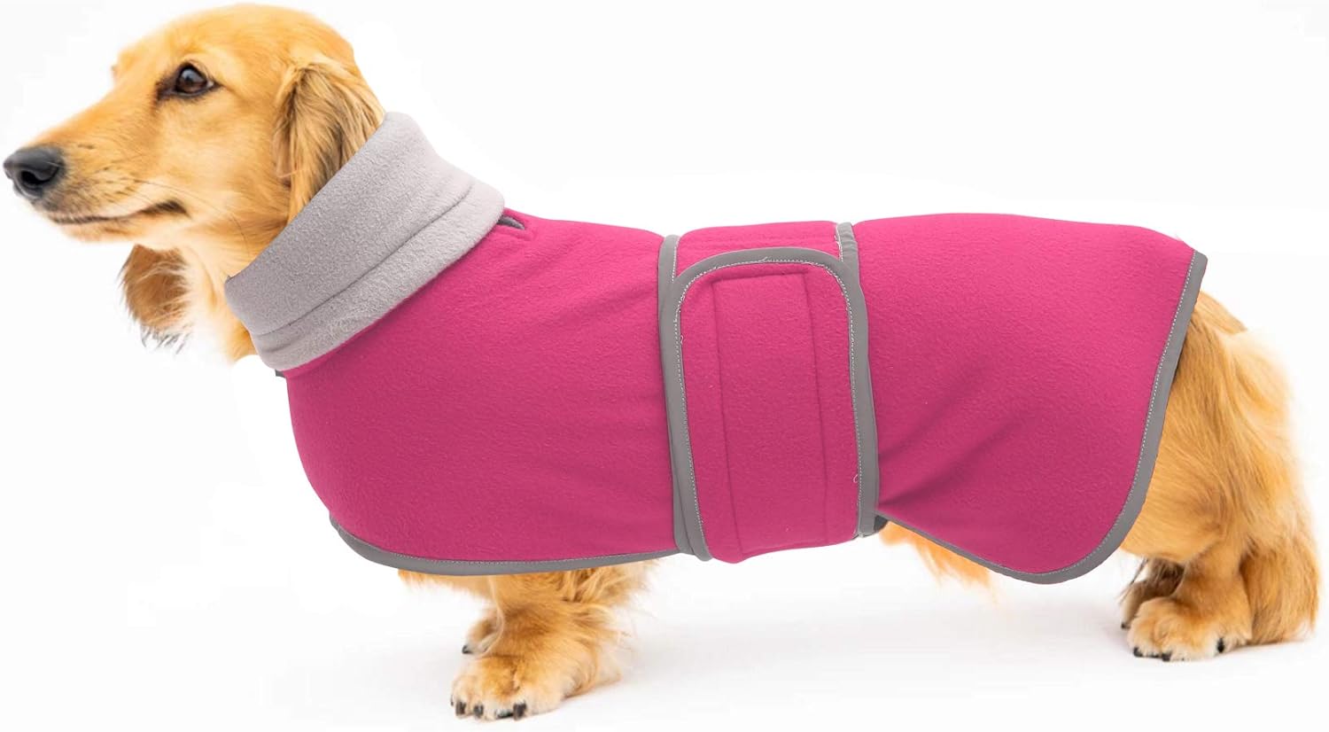 Geyecete Dog Jacket, Dog coat perfect for dachshunds, dog winter coat with padded fleece lining