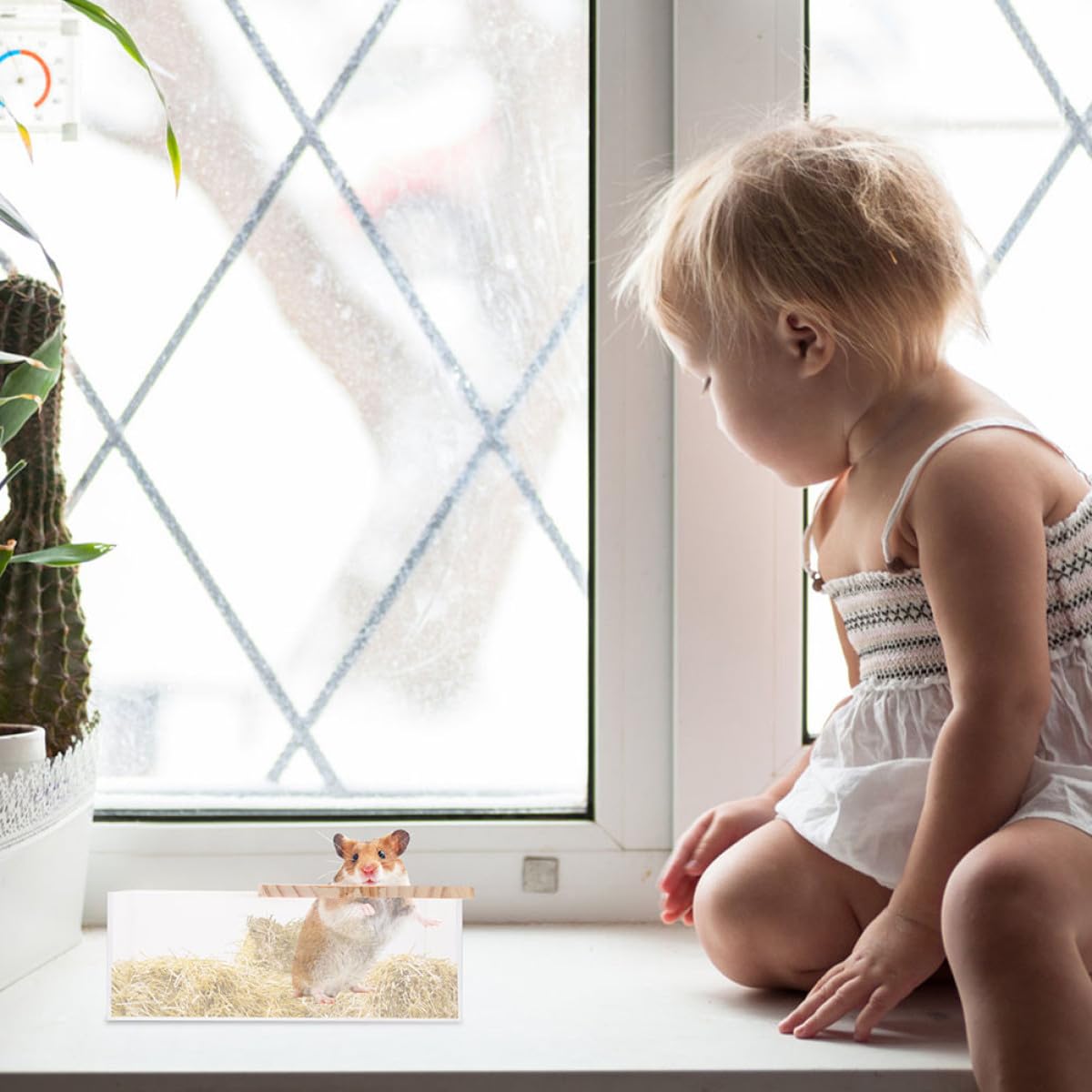 SOLUSTRE 2 Stück Acryl Hamsterbadewannen für Kleintiere Verschleißfeste und Glatte Oberfläche Transparenter Badebehälter für Zuhause und Tierladen