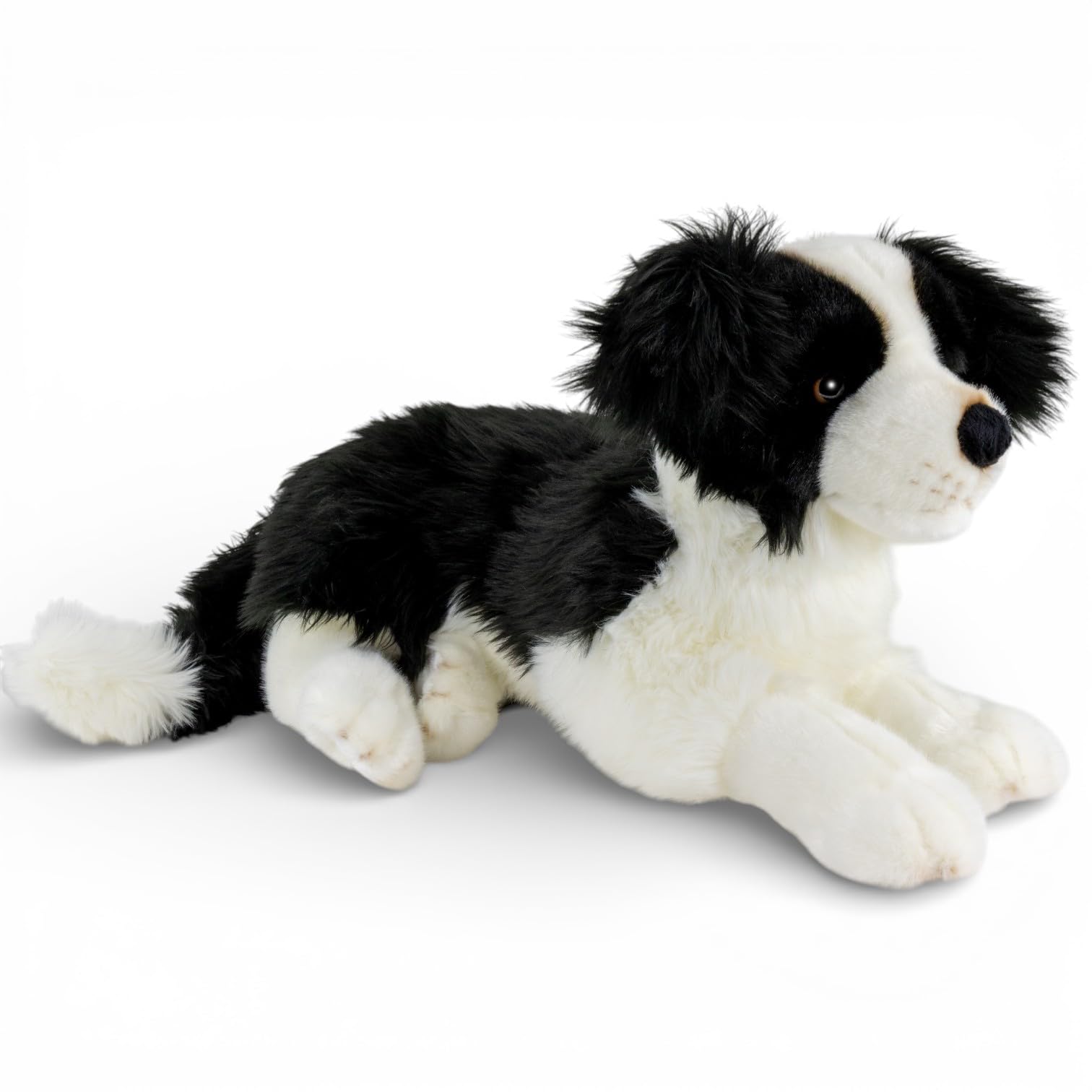 Carl Dick Border Collie leżąca ok. 45 cm pluszowa zabawka, pluszowa zabawka, przytulanka 3763