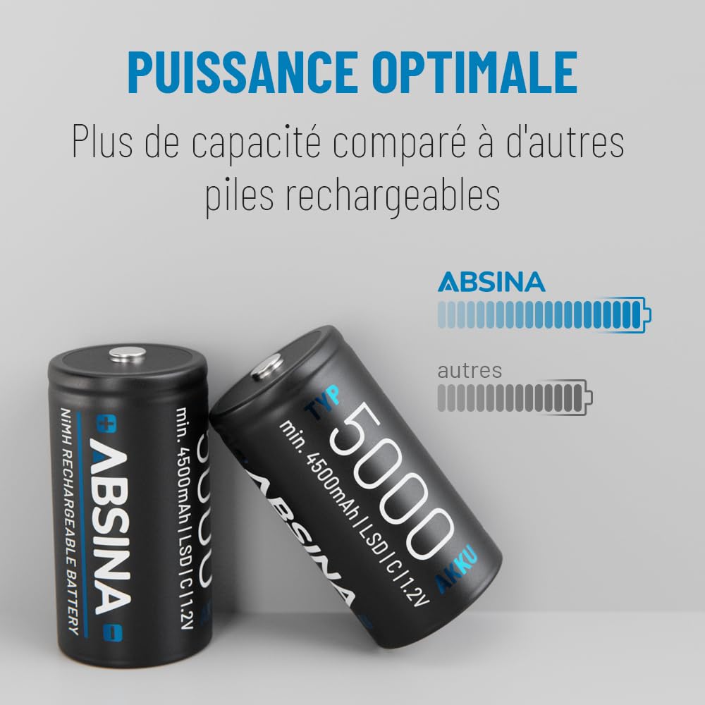 ABSINA Pile Type C Rechargeable 5000 à Faible Auto-Décharge