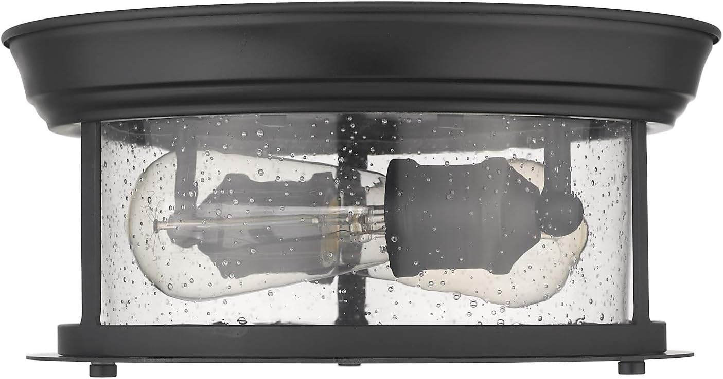 Z-Lite 2 Light Flush Mount 727F10-BN, Clear Seedy, 2 Light - 11" Round
