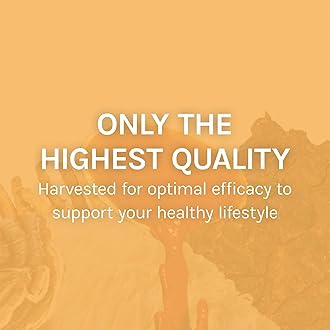 Host Defense Mesima Capsules - Herbal Antioxidant Activity & Immune System Support Supplement - Mushroom Supplement to Support Balanced Immune Response - 60 Capsules (30 Servings)*