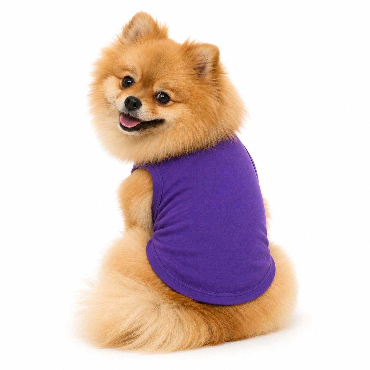 Petitebelle Plain Single Color Puppy Dog Shirt (Purple, Small)