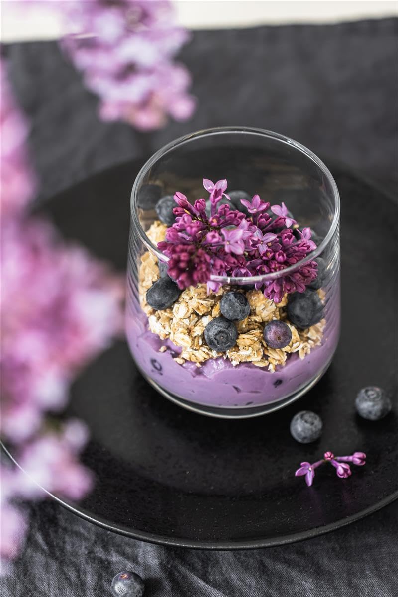 Caramanfruit Heidelbeeren-Frucht-Püree - 4x 1kg - fruchtig süße Blaubeeren, Heidelbeer-Püree, frei von Farb- und Konservierungsstoffen, für Cocktails, Porridges, Smoothies, Blaubeerkuchen, Muffin