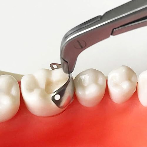Miniatura 6 de 50 bandas de matriz de matriz contorneada seccional dental, bandas de matriz dental M4, bandas de matriz dental para restauraciones dentales (0.236