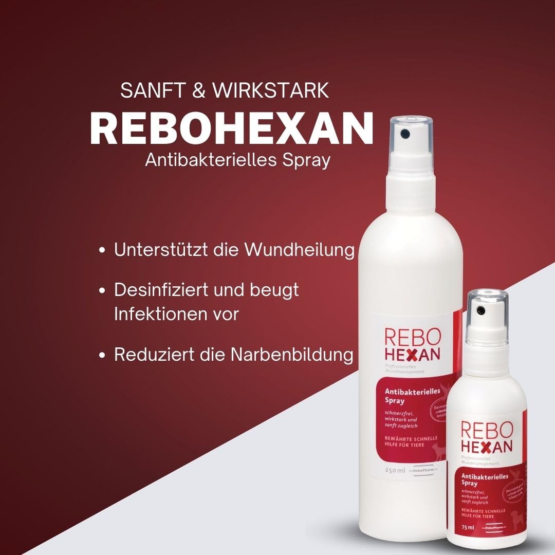 Wundspray 250 ml: Polihexanidbasierte Wundreinigung für alle Haustiere, Erreicht tief liegende Stellen, Präzise Sprühapplikation, Entfernt effektiv Unreinheiten