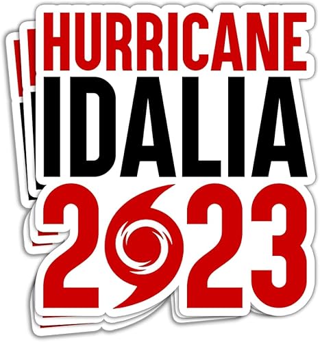 JEFARIK Adhesivo con texto en inglés "I Survived Hurricane Idalia" Hurricane Idalia 2023 Pegatina Temporada de Huracanes Florida Fuerte Huracán