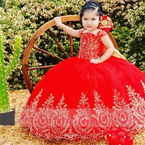 Gold Embroidered Lace Square Mini Quinceanera Dresses Toddlers Ball Gown Flower Girl Dress 20252