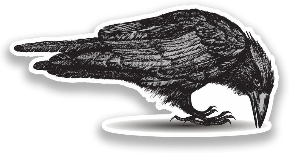 2 x 20cm/200mm Crow Vinyl Stickers Halloween Scary #7236