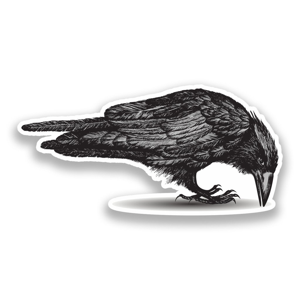 Destinationvinyl Multi 2 X 20Cm/200Mm Crow Vinyl Stickers Halloween Scary #7236