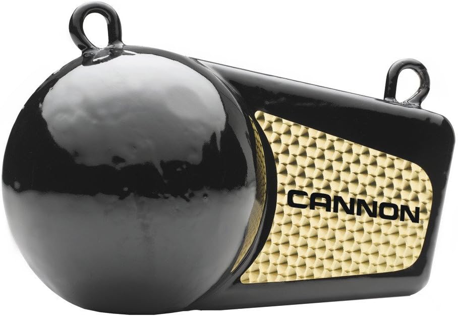 Cannon 4lb Flash Weight