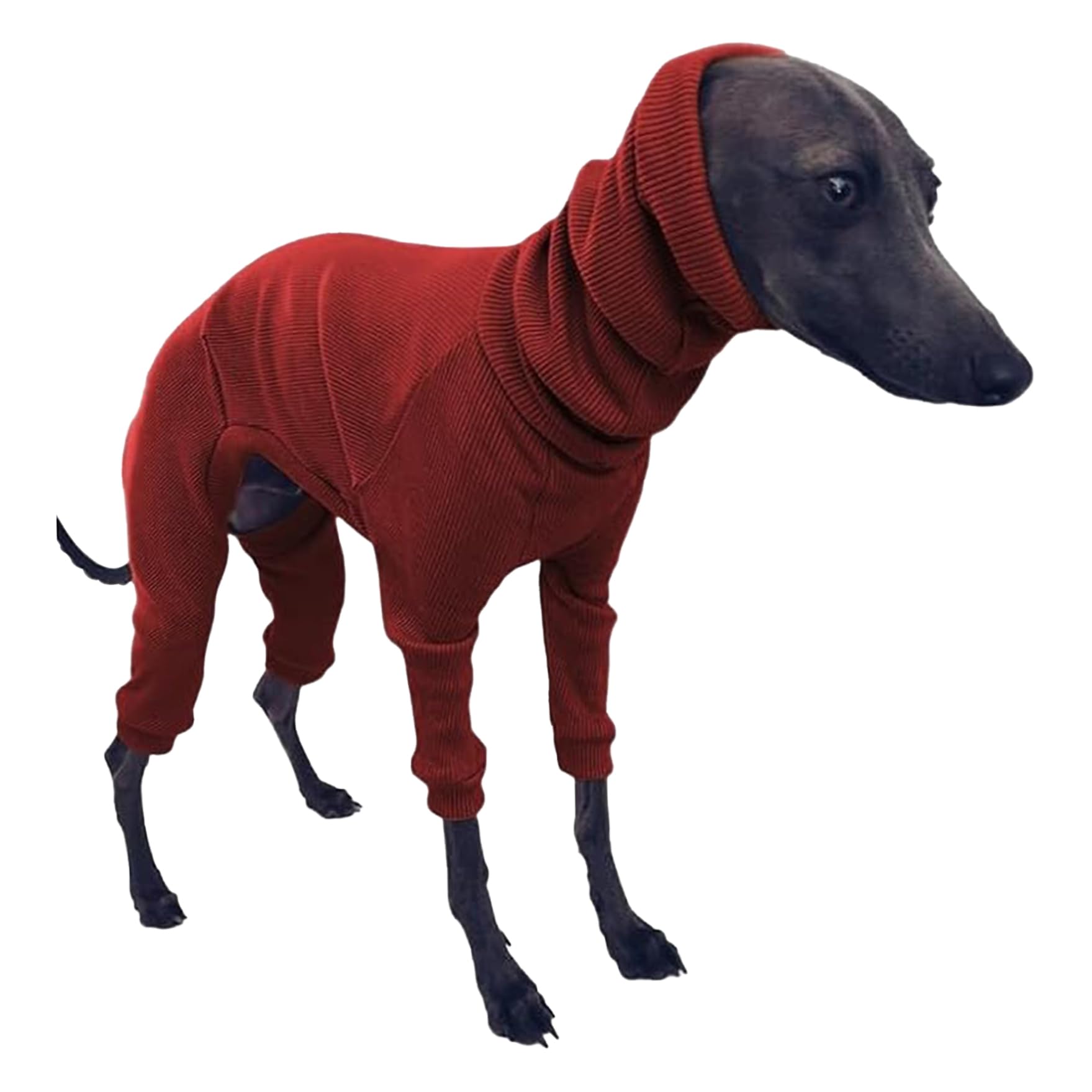 dsbdrki Sweater Greyhound sweater for dogs, cotton greyhound pajamas, four-legged greyhound clothing, hooded whippet pajamas, stretchable warm dog coat L