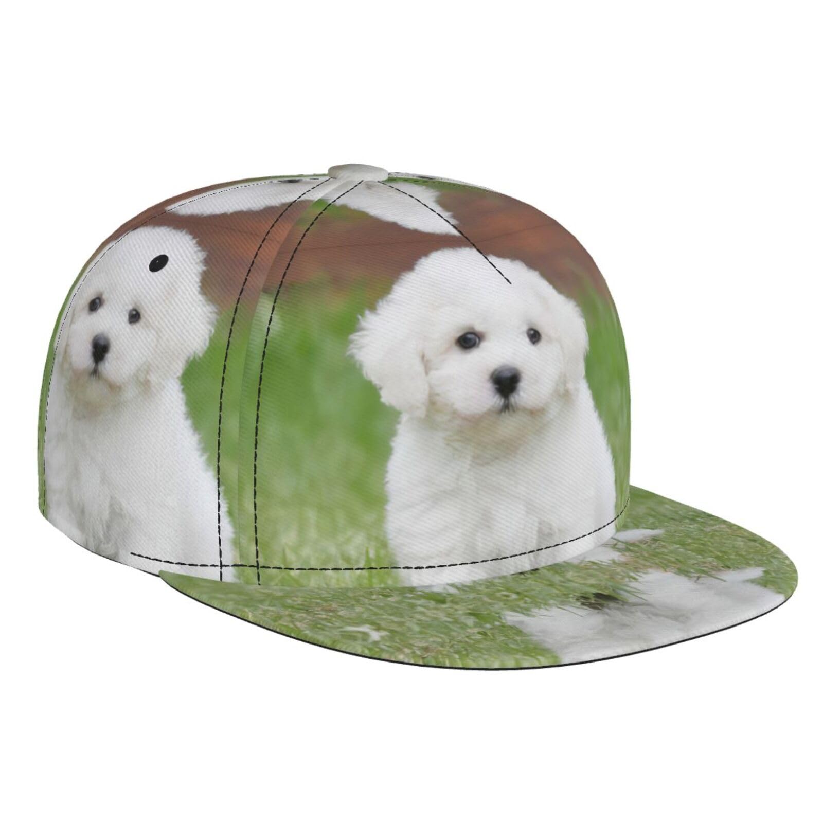 BLWSLC Bichon Frise Dog Printed Hip-hop Baseball Cap Adjustable Baseball Cap Suitable for Travel Hiking and Workouts Black