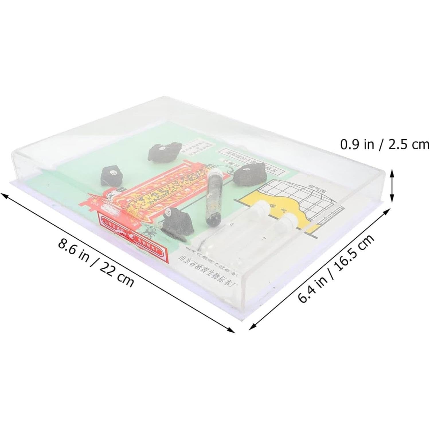 Set di Lenti convesse e concave Portatili, Lenti d'Ingrandimento e Accessori for banco Ottico, Strumenti di Imaging con Campioni di carbonizzazione del Carbone