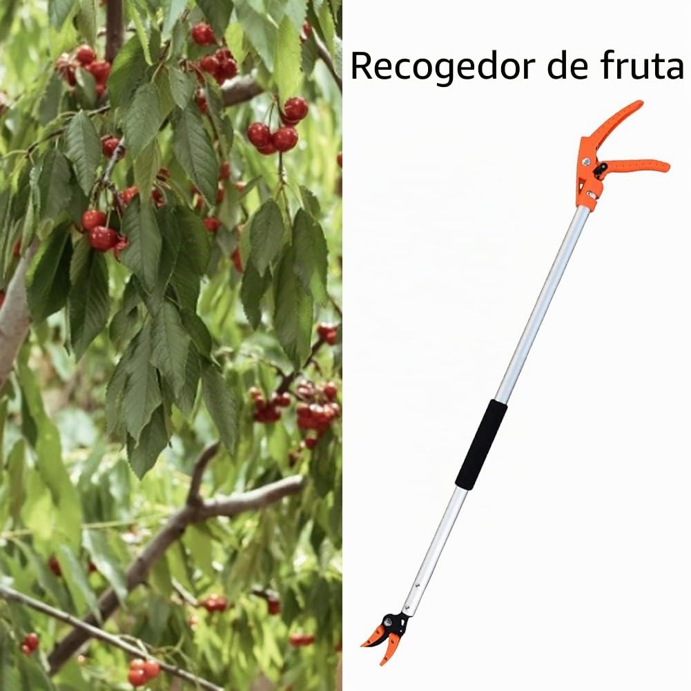 Tijeras de podar telescópicas para cortar frutas, recogedor de frutas, tijeras de podar con mango de aluminio para ramas