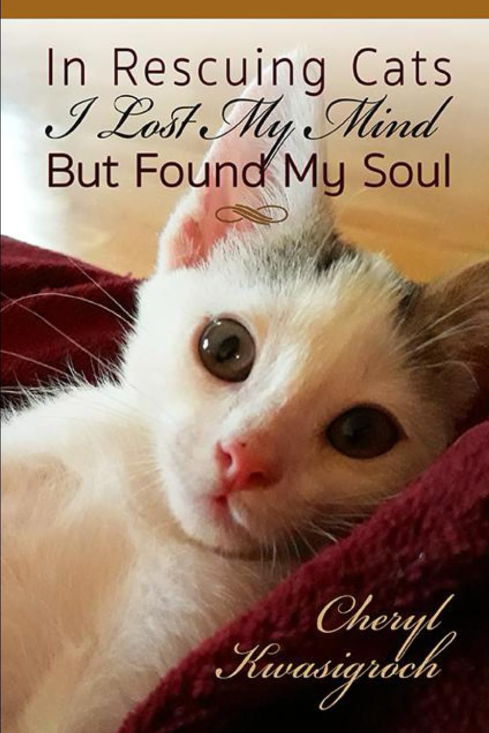 In Rescuing Cats I Lost My Mind but Found My Soul