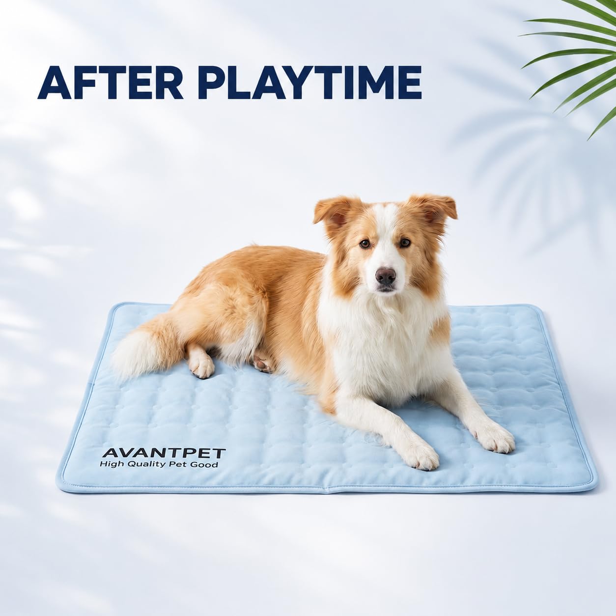 Tapis rafraîchissant en gel non toxique pour chien Bleu ciel | Gel non toxique de qualité alimentaire, inhibition brevetée de 99 % des moisissures, surface imperméable réversible