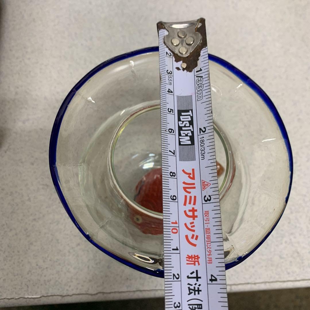 楽天市場】金魚 鉢の通販 中国製染錦＊金魚絵水鉢1点 睡蓮鉢大鉢飾り壷