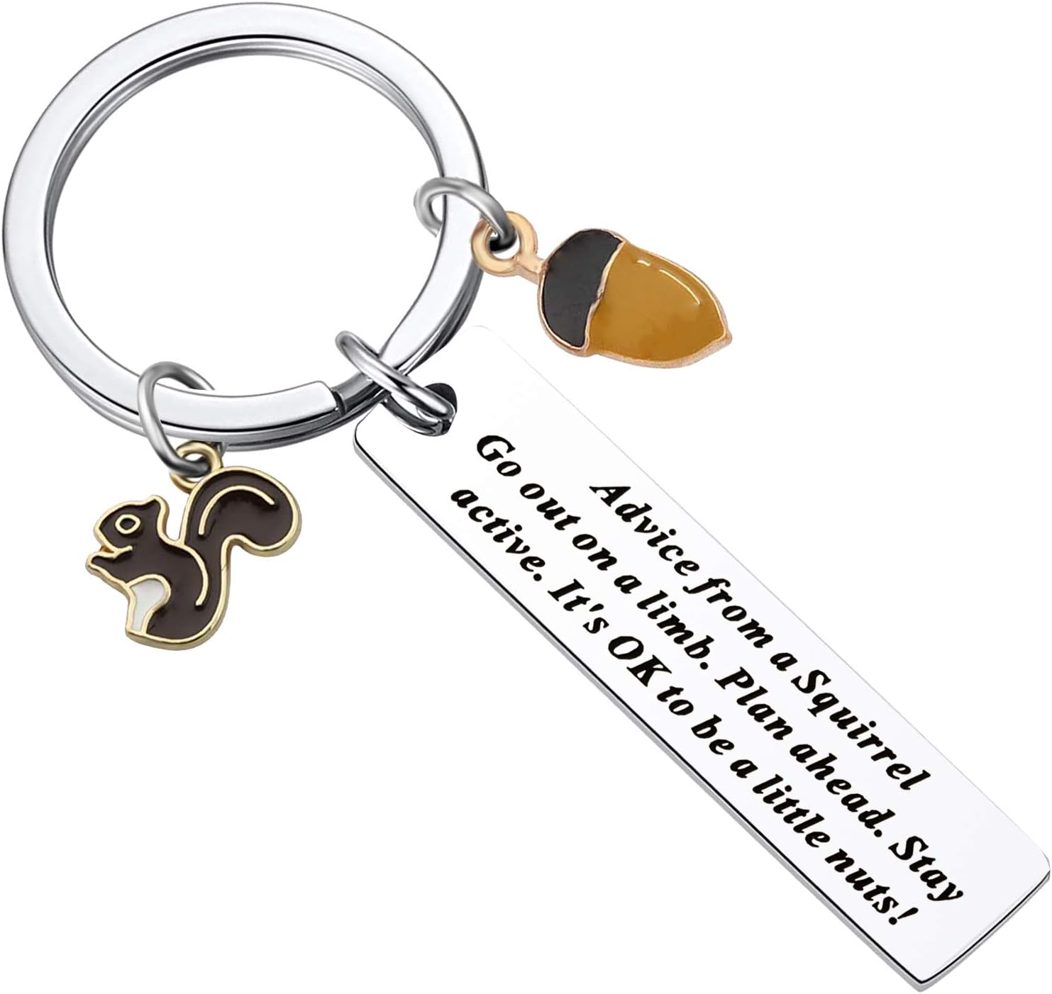 Scwasen Animal Squirrel Keychain for Women Squirrel Jewelry Advice from a Squirrel Gifts for Squirrel Lovers Gift Nature Lovers