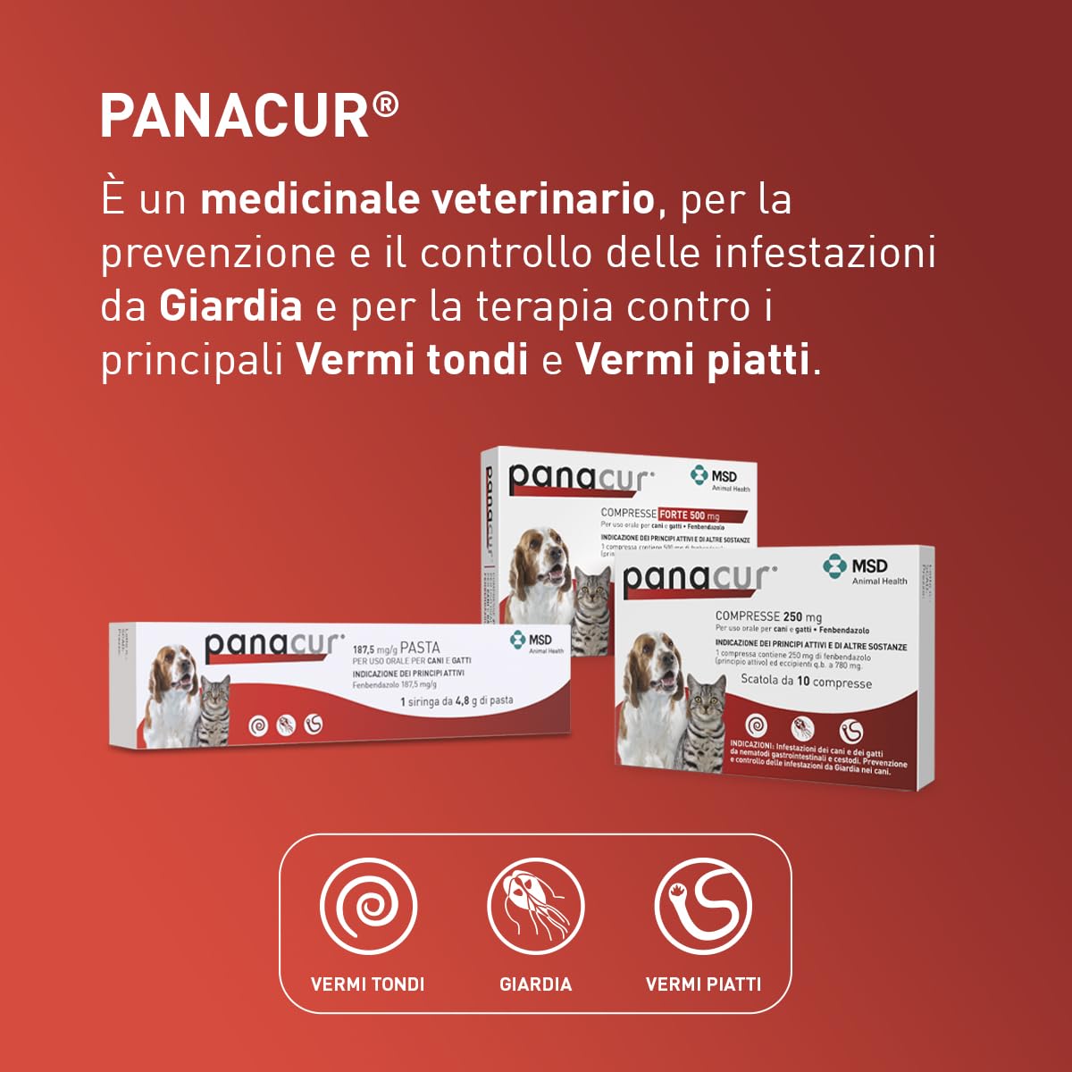 Panacur Compresse 500mg Dosaggio Forte - Vermifugo Per Cani Di Grossa Taglia. Libera da Giardia, Vermi Tondi e Vermi Piatti