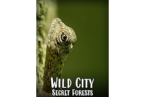 Wild City - A Wilderness on the Edge