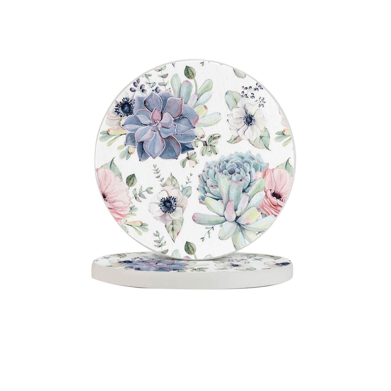 Succulent Plants Two Pieces Drink Coaster for Tabletop Protection Place Mats for Home Decor