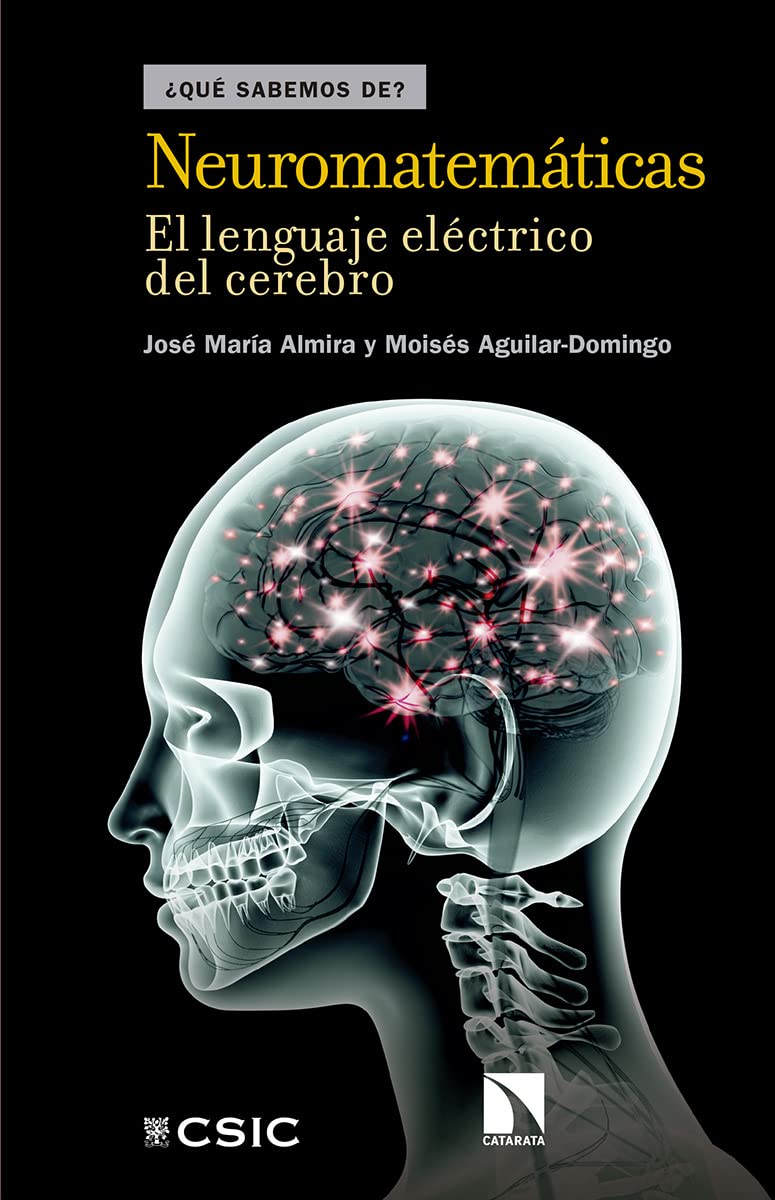 Neuromatemáticas: El lenguaje eléctrico del cerebro