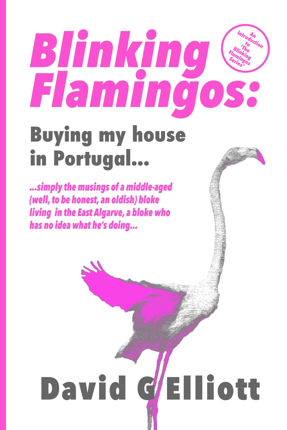 Buying my house in Portugal: My experience of buying a house on the Algarve in Portugal...: Elliott (Blinking Flamingos)