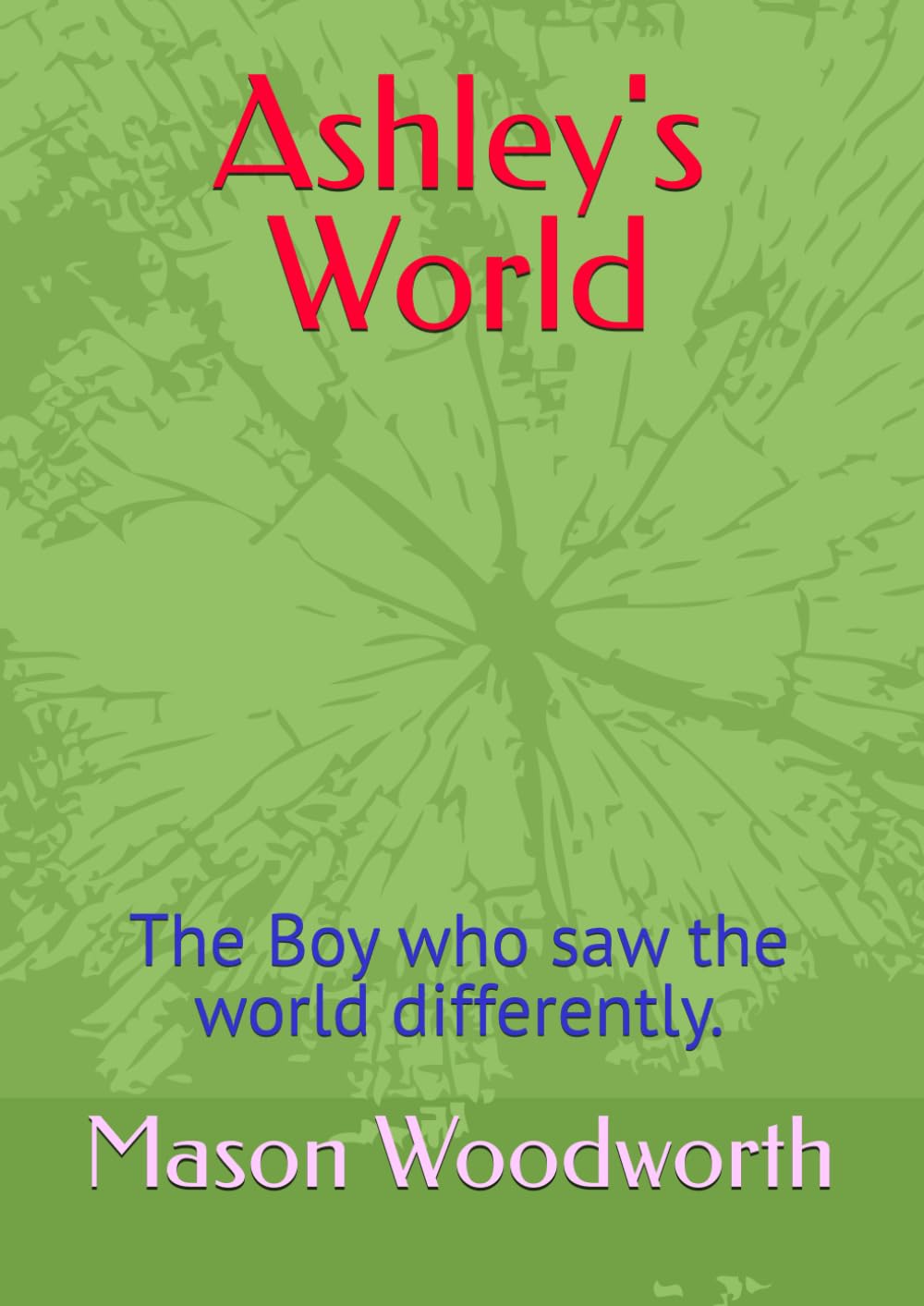 Ashley's World: The Boy who saw the world differently.