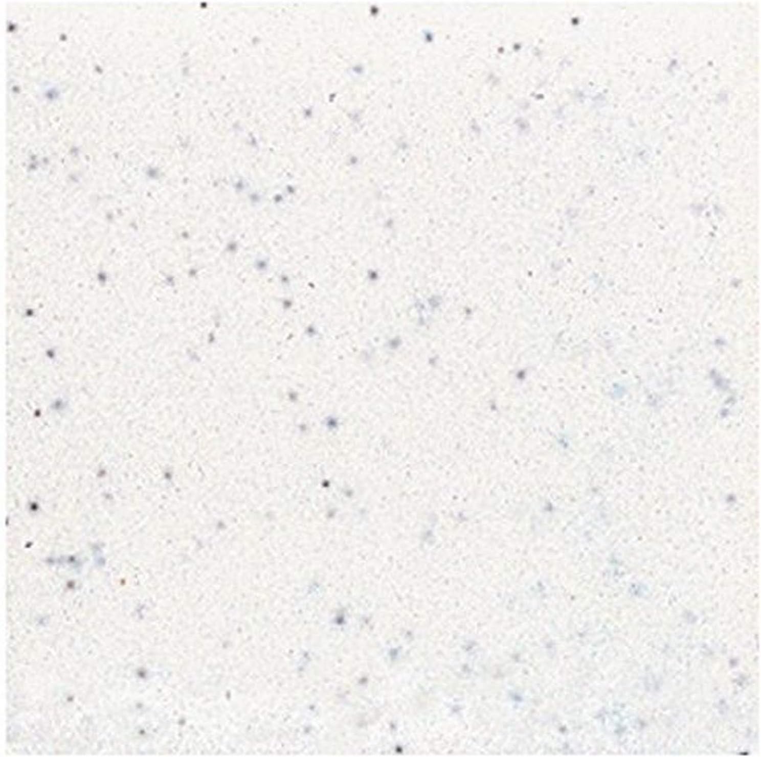 American Olean Tile 045A4200 Salt and Pepper B&M Group 1 Tile, 2" x 6"