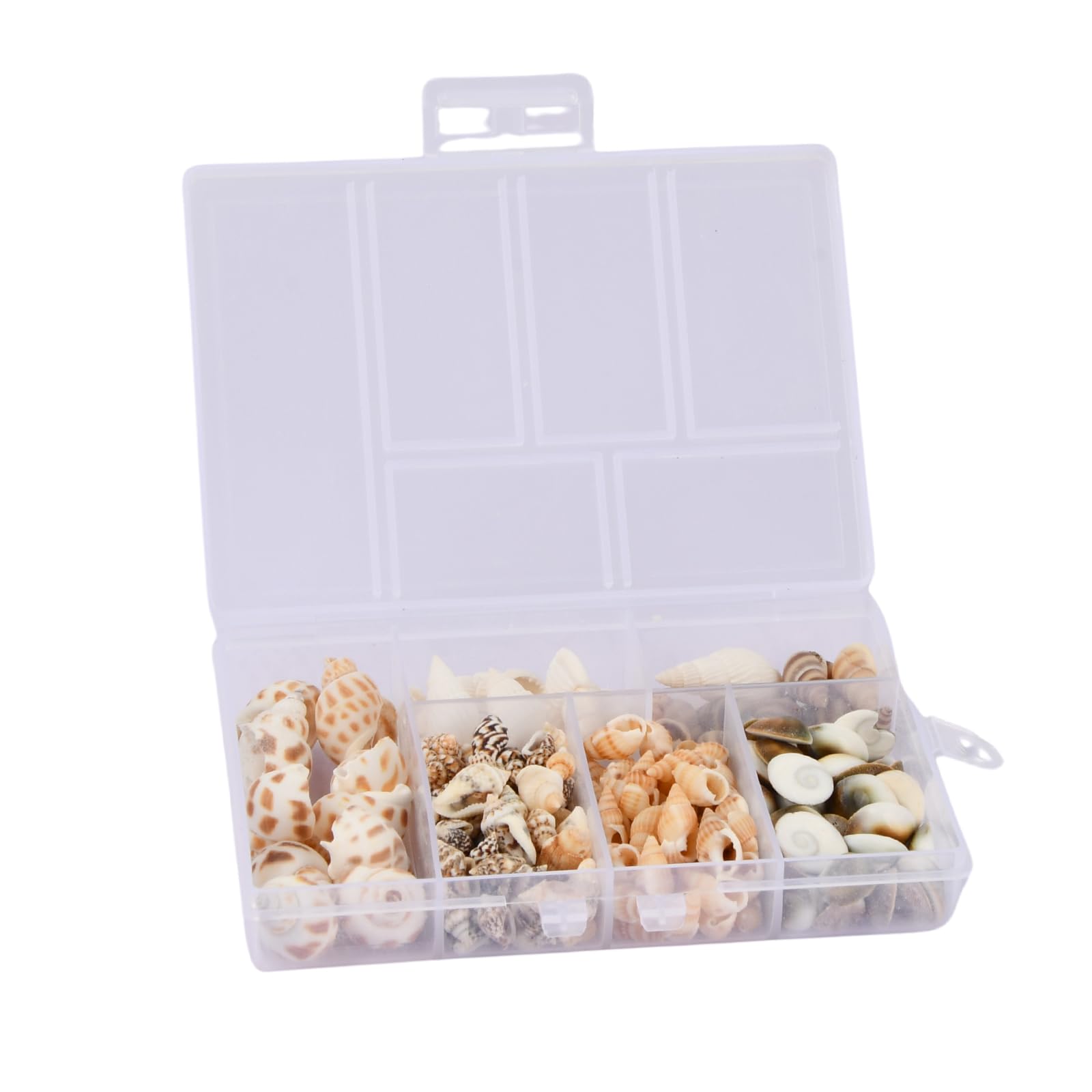 Chstarina 100 Piezas Conchas Marinas Mixtas, Conchas de Mar Naturales, Conchas de Playa Sin Agujero, Conchas Pequeñas para Manualidades para Joyería, Rellenar Jarrones, Pulseras, Accesorios de Collar