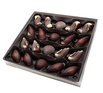 Belgium Chocolates 20 Piece Artisanal Chocolate Seashell Truffles, Hazelnut Filling. 8.82oz