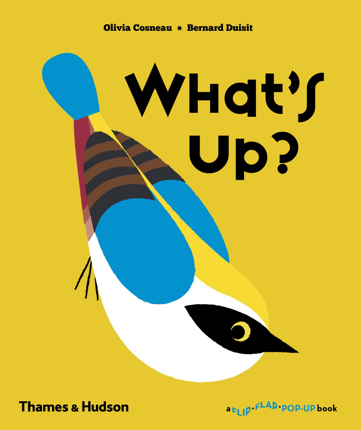 What's Up? A Flip Flap Pop Up Book 1 Amazon.co.uk Cosneau, Olivia, Duisit, Bernard