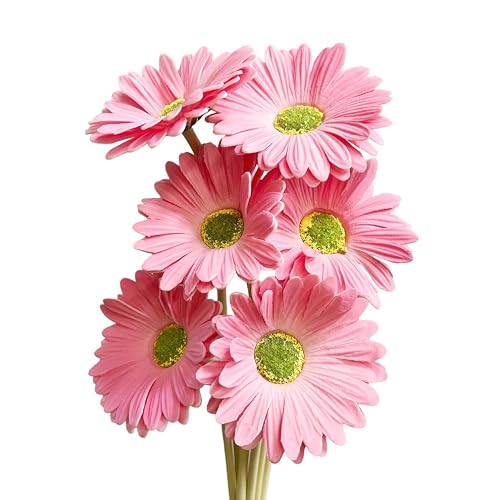 Cutefornia Gerbera Daisy Stems Pink