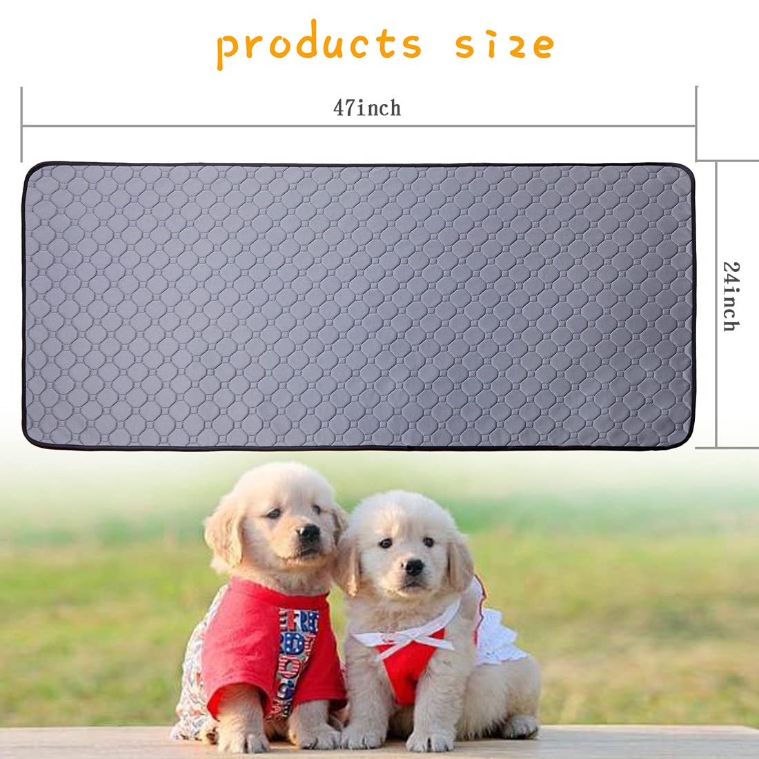 https://m.media-amazon.com/images/I/61AAwxMdslL.jpg