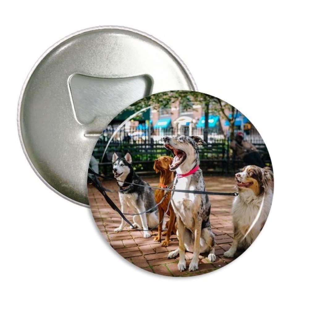 Cadeau ouvre-bouteille aimanté motif chien lot de 3 pour amoureux des animaux