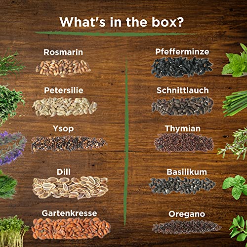 Kräutersamen Set mit 10 verschiedenen Sorten für den Garten