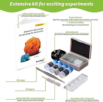 Levenhuk LabZZ M101 Lime 640x Portable Educational Kids Microscope Science Kit with LED Light, STEM Toys Accessory Set, Blank & Prepared Sample Slides, Beginner Experiment Guide for Children (ES)
