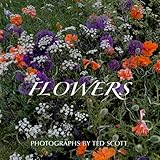 FLOWERS: Photographs by Ted Scott