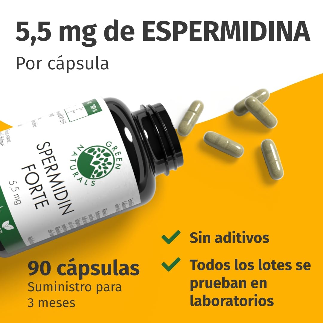 Green Naturals Espermidina Forte 5,5 mg – Germen de trigo – 90 cápsulas | Dosis alta por cápsula · Formato compacto · Vegano · Para 3 meses