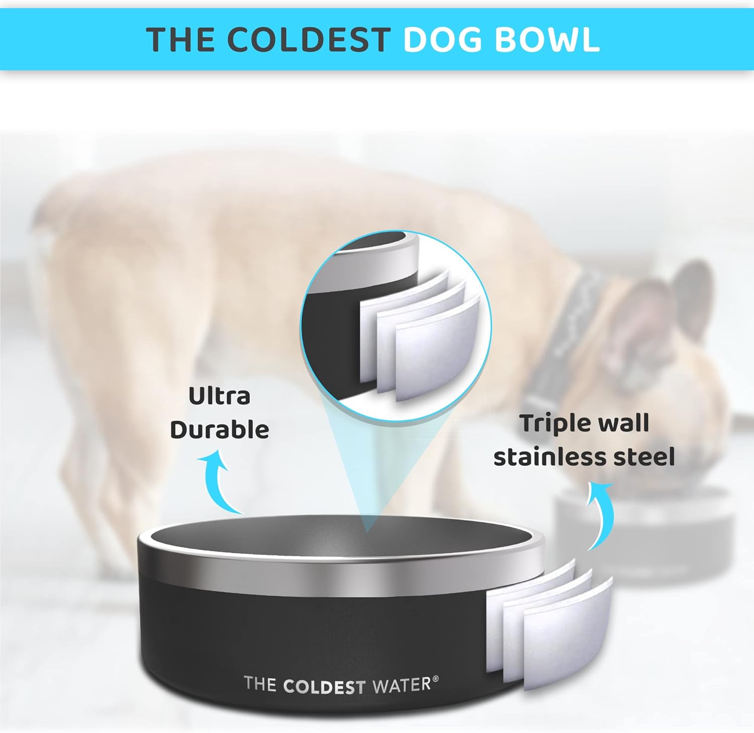 Coldest Dog Bowl - Stainless Steel Non Slip Dog Bowls, Cats, Pet Feeding for Food or Water (64 oz, Crimson Red) : Pet Supplies