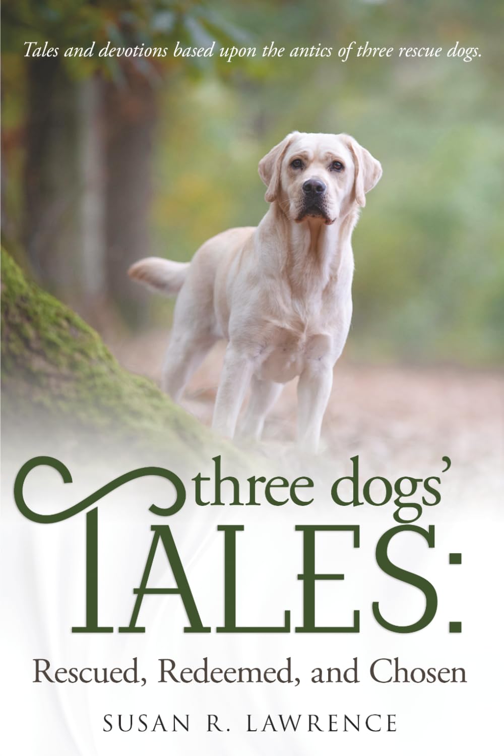 Three Dogs' Tales: Rescued, Redeemed, and Chosen