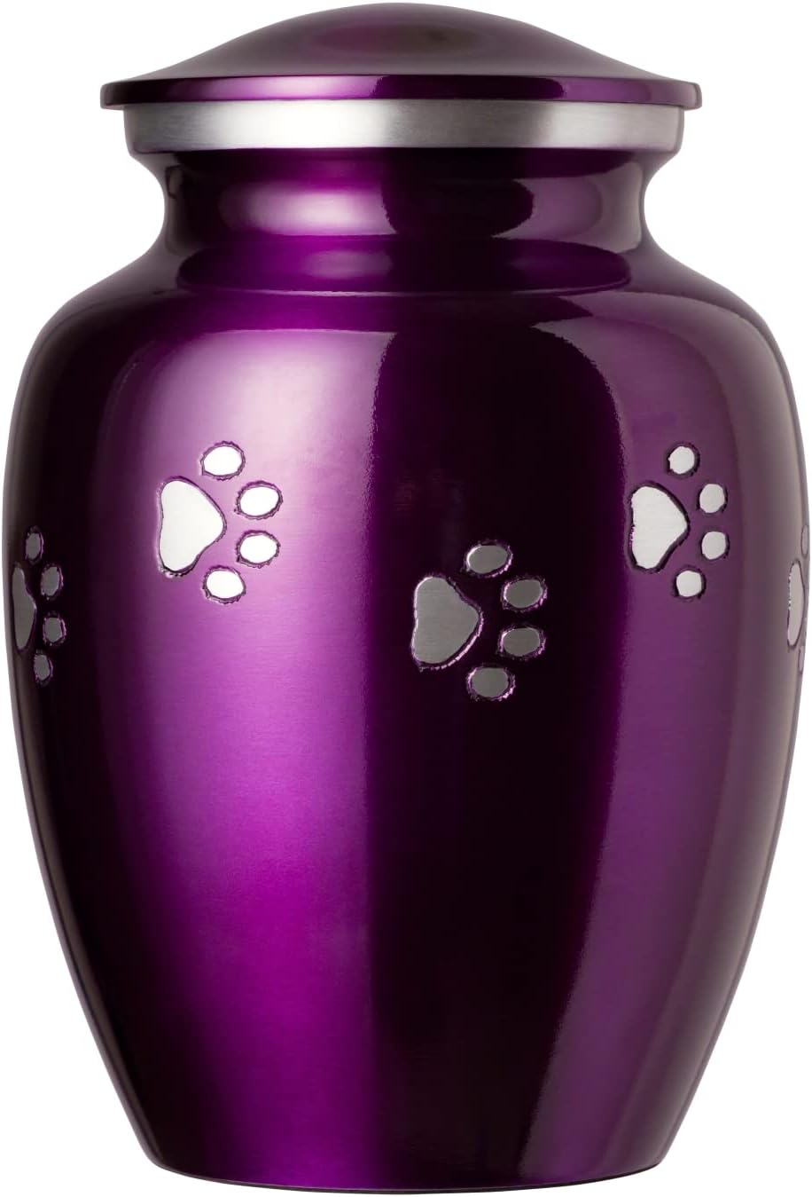 Best Friend Services Pet Urn Ottillie Paws Legacy Memorial Pet
